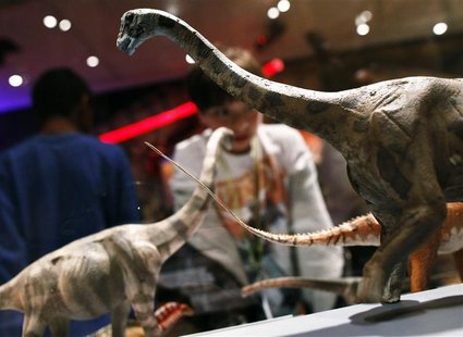 Visitors look at dinosaur replicas at "The World's Largest Dinosaurs" exhibit at the American Museum of Natural History in New York April 13 Visitors look at dinosaur replicas at "The World's Largest Dinosaurs" exhibit at the American Museum of Natural History in New York April 13