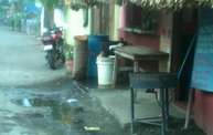 Mapleview Animal Hospital in Guatemala 2