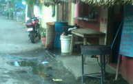 Mapleview Animal Hospital in Guatemala 2