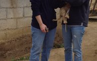 Mapleview Animal Hospital in Guatemala 1