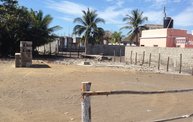 Mapleview Animal Hospital in Guatemala 15