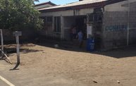 Mapleview Animal Hospital in Guatemala 14