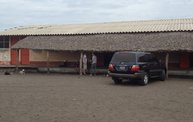 Mapleview Animal Hospital in Guatemala 25
