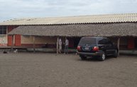 Mapleview Animal Hospital in Guatemala 25