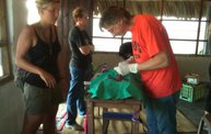 Mapleview Animal Hospital in Guatemala 14