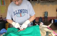 Mapleview Animal Hospital in Guatemala 17