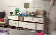 Mapleview Animal Hospital in Guatemala 30