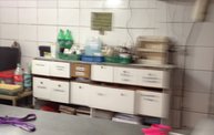 Mapleview Animal Hospital in Guatemala 30