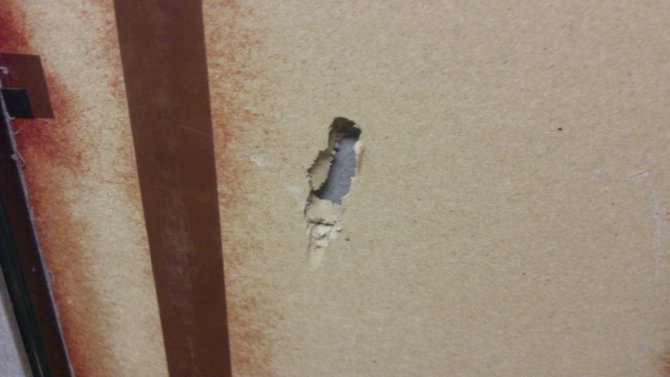 Lunchbox decided to throw a hammer...