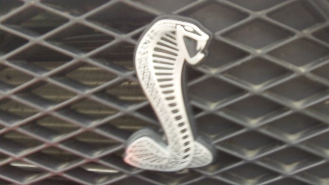 The Cobra from a sa-WEET looking Shelby Mustang! ~TS