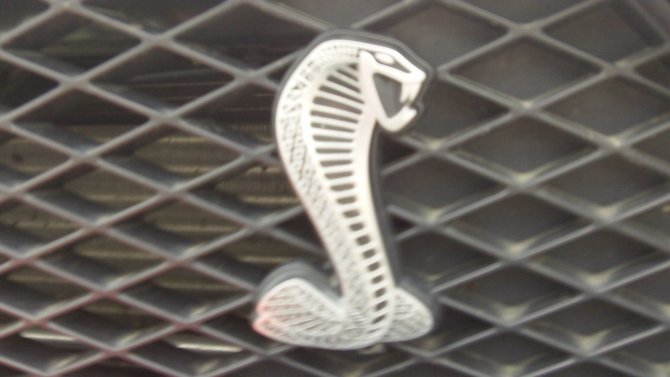 The Cobra from a sa-WEET looking Shelby Mustang! ~TS
