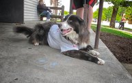 American Heart Walk Wausau 2012 1