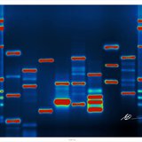 DNA DNA