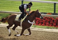 Kentucky Derby winner "I'll Have Another" is worked out by exercise rider Johnny Garcia at Pimlico Race Course in Baltimore, Maryland, May 1