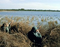 Duck hunting (courtesy of Forest and Range.org)