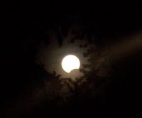 Eclipse as seen from Cedar Grove