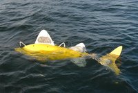 The SHOAL robotic fish, a state-of-the-art pollution monitoring system, is seen in this undated handout photo. REUTERS/SHOAL Consortium/Hand