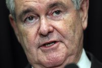Republican presidential candidate and former Speaker of the House Newt Gingrich speaks during a campaign event at the Hilton Hotel in Arling