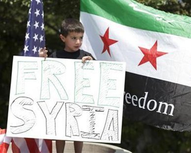 A young protester demonstrates in Chicago May 27, 2012, in opposition to the Syrian regime. REUTERS/John Gress A young protester demonstrates in Chicago May 27, 2012, in opposition to the Syrian regime. REUTERS/John Gress