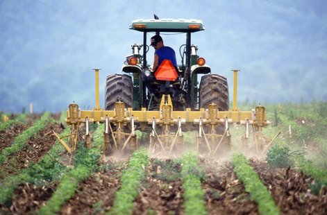 Farmer Farmer