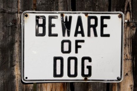 Beware of dog sign Beware of dog sign