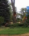 Storm Damage 2012 8