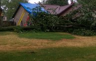 Storm Damage 2012 7