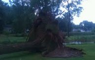 Storm Damage 2012 6