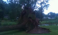 cottonwood Resort