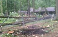 Storm Damage 2012 4