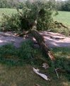 Storm Damage 2012 3