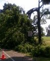 Storm Damage 2012: Cover Image