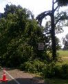 Storm Damage 2012: Cover Image