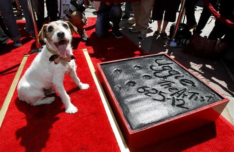 The dog Uggie, featured in the film "The Artist", is pictured after leaving his paw prints in cement in the forecourt of the Grauman's Chine The dog Uggie, featured in the film "The Artist", is pictured after leaving his paw prints in cement in the forecourt of the Grauman's Chine