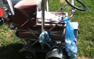 Country Fest 2012 7