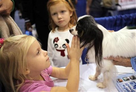 A girl pets a Papillon dog at the "Meet the Breeds" exhibition in New York October 17, 2009. REUTERS/Natalie Behring