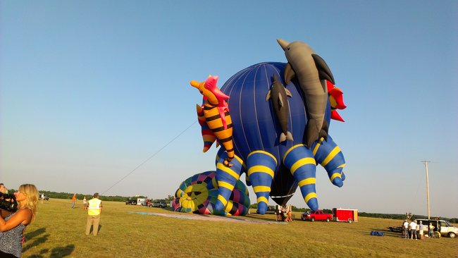 Octopus Balloon took the longest to inflate. It had fish, a seahorse, a starfish, and dolphins on the sides too. There's a video of it taking off under the Video tab.