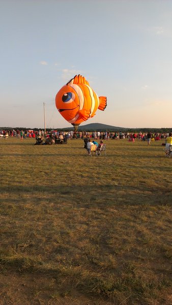 Wally got up, but unfortunately for all the kids it was too windy for him to take off. There was one little girl crying on the way out because he couldn't fly.