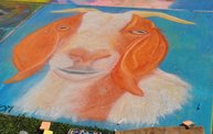 Wausau Chalkfest 2012 11