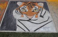 Wausau Chalkfest 2012 9