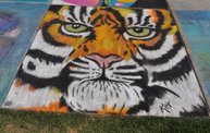 Wausau Chalkfest 2012 2