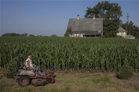 A man mows grass in front of a drought stricken corn field in Welton, Iowa July 12, 2012. REUTERS/Adrees Latif A man mows grass in front of a drought stricken corn field in Welton, Iowa July 12, 2012. REUTERS/Adrees Latif