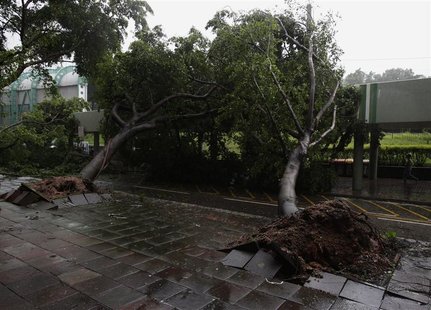 Fallen trees block a road after a typhoon in Hong Kong July 24, 2012. REUTERS/Bobby Yip Fallen trees block a road after a typhoon in Hong Kong July 24, 2012. REUTERS/Bobby Yip