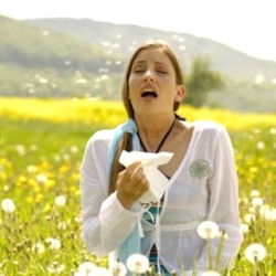Allergy sufferers Allergy sufferers