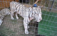 Wisconsin Valley Fair 2012 16