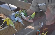 Wisconsin Valley Fair 2012 27