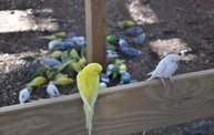 Wisconsin Valley Fair 2012 26
