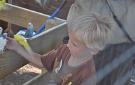 Wisconsin Valley Fair 2012 25