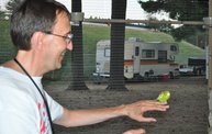 Wisconsin Valley Fair 2012 26