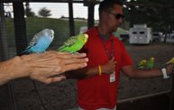 Wisconsin Valley Fair 2012 5